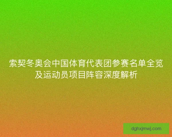 索契冬奥会中国体育代表团参赛名单全览及运动员项目阵容深度解析