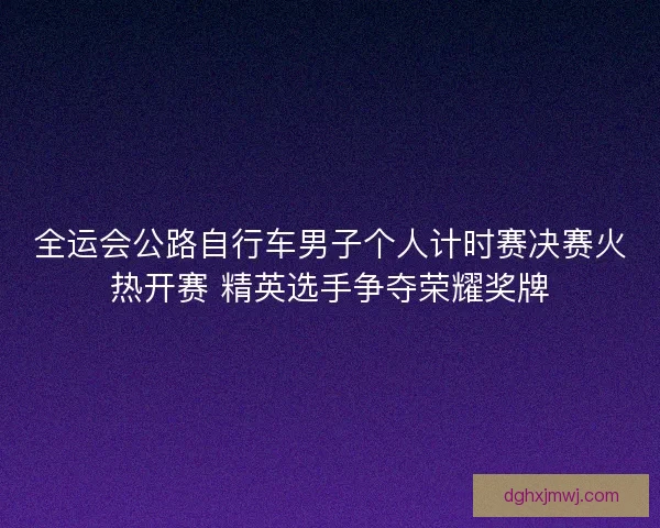全运会公路自行车男子个人计时赛决赛火热开赛 精英选手争夺荣耀奖牌