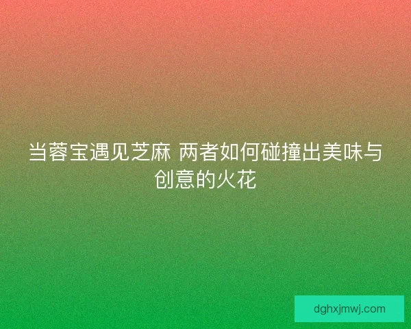 当蓉宝遇见芝麻 两者如何碰撞出美味与创意的火花
