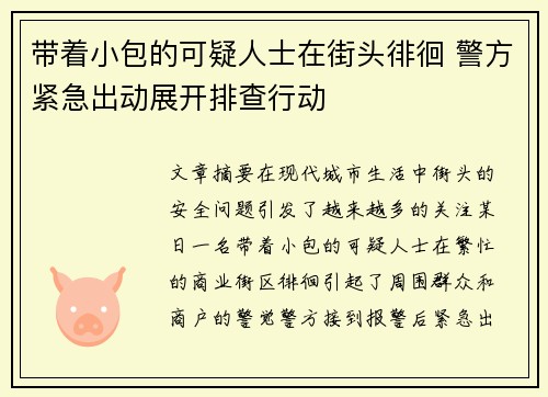 带着小包的可疑人士在街头徘徊 警方紧急出动展开排查行动